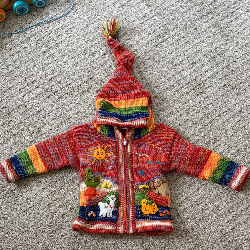 Colorful Peruvian Hand-Knit Hooded Kids Sweater with Animal Appliqués